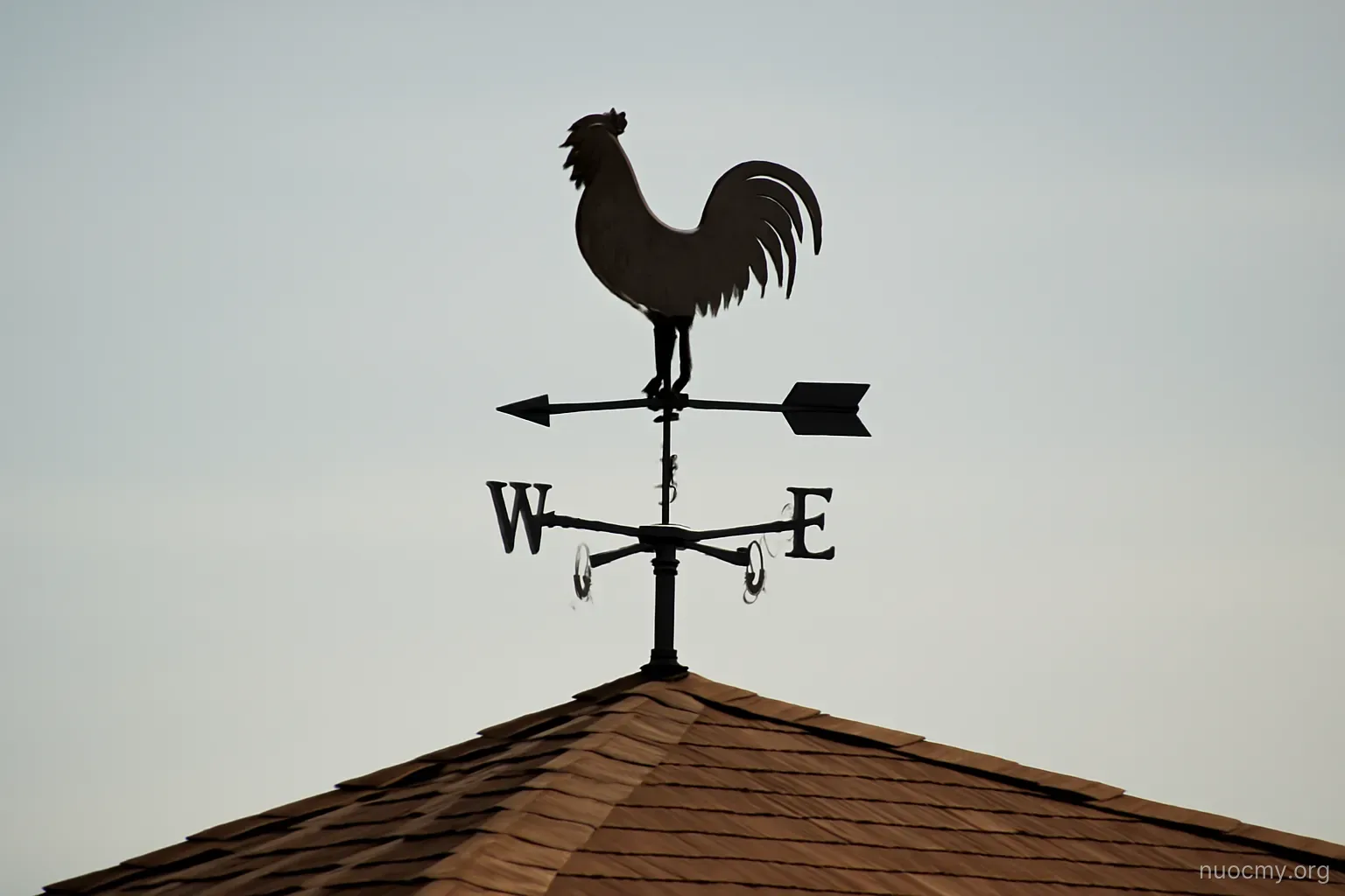 a weather vane on a low roof against a plain sky with no clouds visible